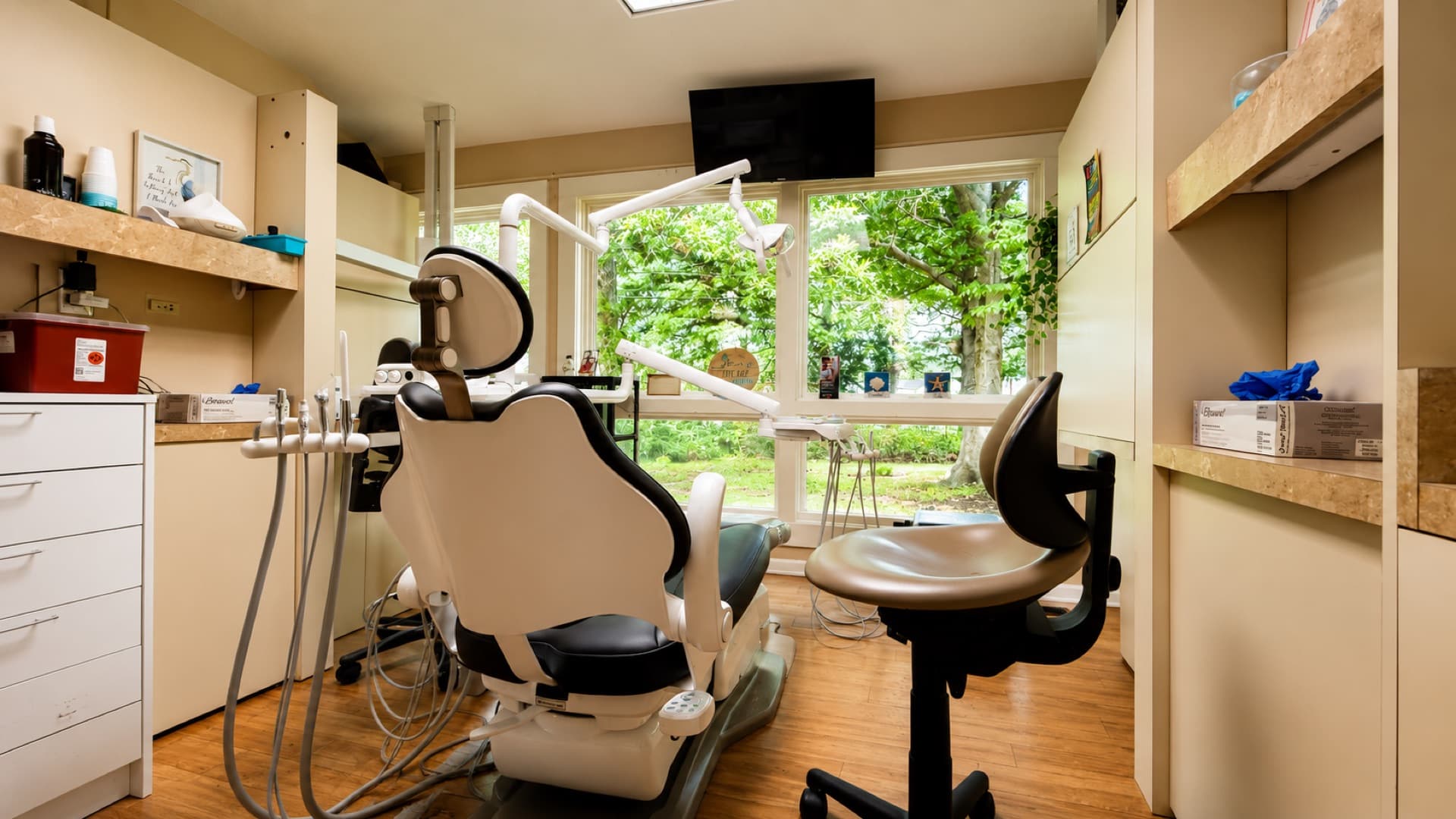 Treatment operatory at Willis Family Dentistry Waynesboro with a large window looking out onto Blue Ridge greenery